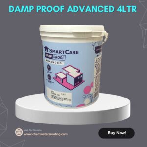 Asian Paints SmartCare Damp Proof Advanced White 4Ltr